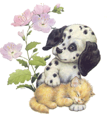 hundkatze010.gif (77897 Byte)