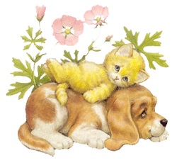 hundkatze012.gif (49532 Byte)