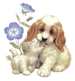 hundkatze014.gif (66144 Byte)