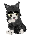 katze006.gif (8261 Byte)