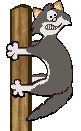 katze009.gif (4281 Byte)