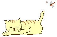 katze010.gif (18696 Byte)