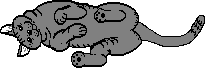 katze026.gif (4126 Byte)