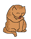katze036.gif (15841 Byte)
