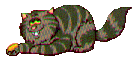katze037.gif (10300 Byte)