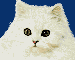 katze052.gif (7972 Byte)