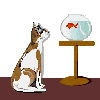 katze058.gif (9413 Byte)