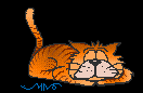 katze060.gif (4224 Byte)