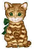 katze081.gif (17988 Byte)