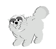 katze090.gif (34059 Byte)