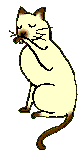 katze092.gif (5289 Byte)