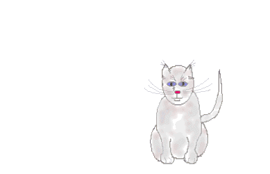 katze107.gif (22764 Byte)