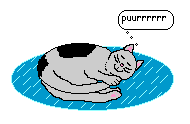 katze111.gif (4295 Byte)