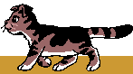katze121.gif (12127 Byte)