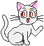 katze122.gif (6103 Byte)