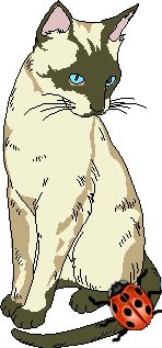 katze126.gif (25380 Byte)