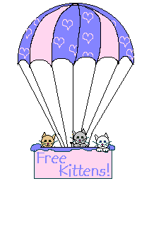 katze165.gif (18196 Byte)