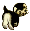 katze166.gif (12418 Byte)
