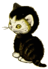 katze167.gif (9168 Byte)
