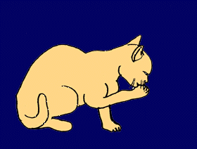 katze179.gif (122830 Byte)