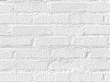 paulchen004.gif (12481 Byte)