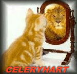 raubtier002.gif (98207 Byte)