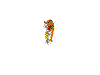 raubtier012.gif (38928 Byte)