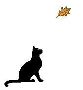 spiel001.gif (4767 Byte)