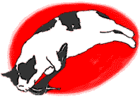 spiel036.gif (40499 Byte)