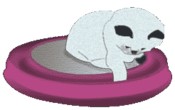 spiel039.gif (6086 Byte)