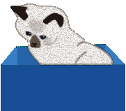 spiel040.gif (3630 Byte)