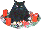 cat904.gif (27464 Byte)