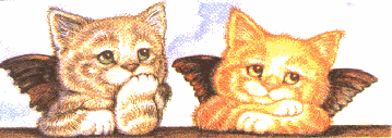 katze78.gif (77292 Byte)