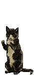katzeimschnee.gif (11493 Byte)
