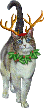 kuchchristmas.gif (11554 Byte)
