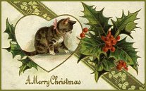 xmascard15.jpg (11447 Byte)