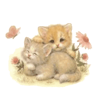 katzen003.gif (21863 Byte)