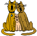 katzen004.gif (3554 Byte)