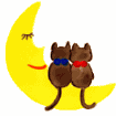 katzen005.gif (3425 Byte)