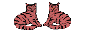 katzen007.gif (9573 Byte)