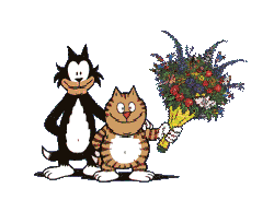 katzen008.gif (36848 Byte)