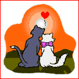 katzen009.gif (23852 Byte)