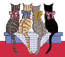 katzen010.gif (12163 Byte)