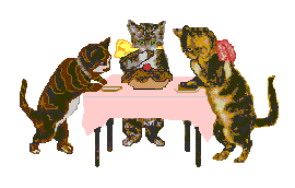 katzen017.gif (18957 Byte)