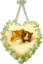 katzen025.gif (15500 Byte)