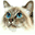 Katzen-Icon37.gif (976 Byte)