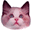 Katzen-Icon39.gif (886 Byte)