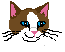 Katzen-Icon43.gif (525 Byte)