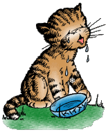cat006.gif (12240 Byte)