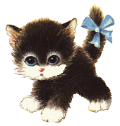 cat007.gif (12157 Byte)